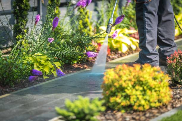 Best Parking Lot and Garage Cleaning  in Fern Park, FL